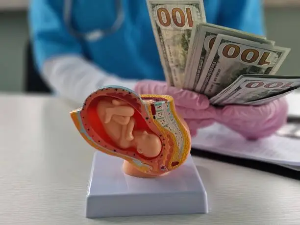 Vaginal Birth vs C-Section: Cost Comparison